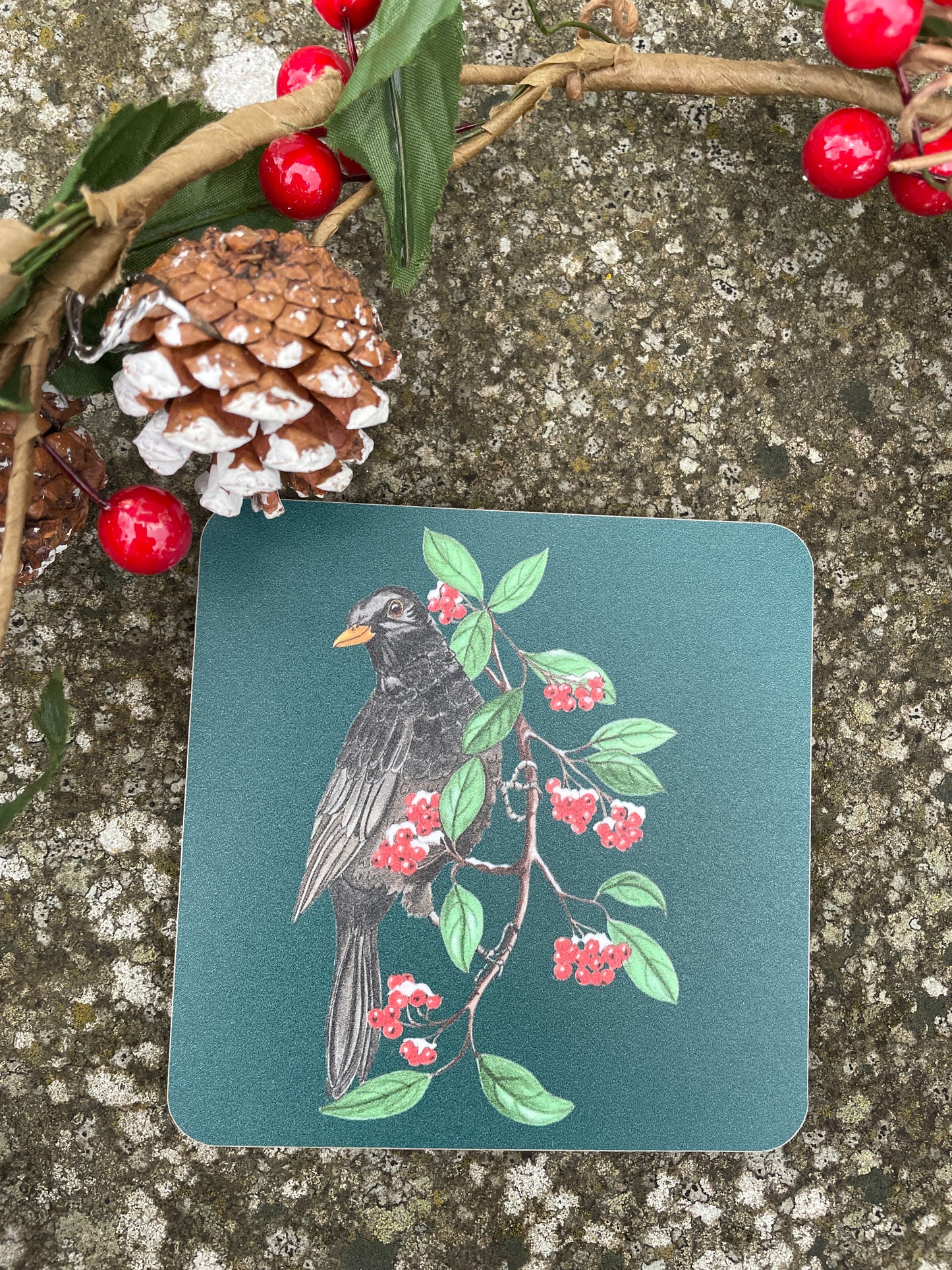 Blackbird Illustrated Coaster, Winter Bird, Festive
