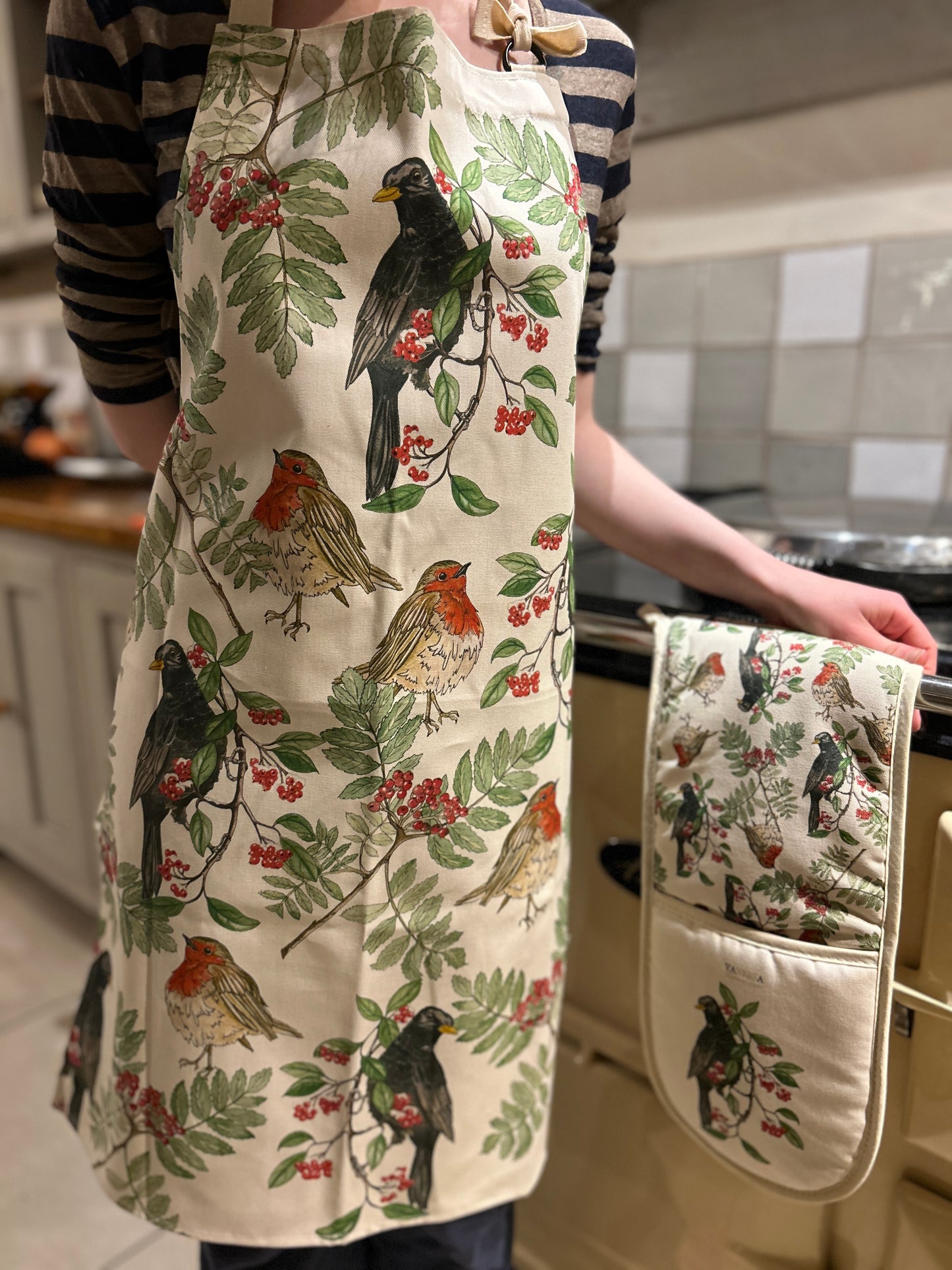 Festive Blackbird, Robin print, Apron