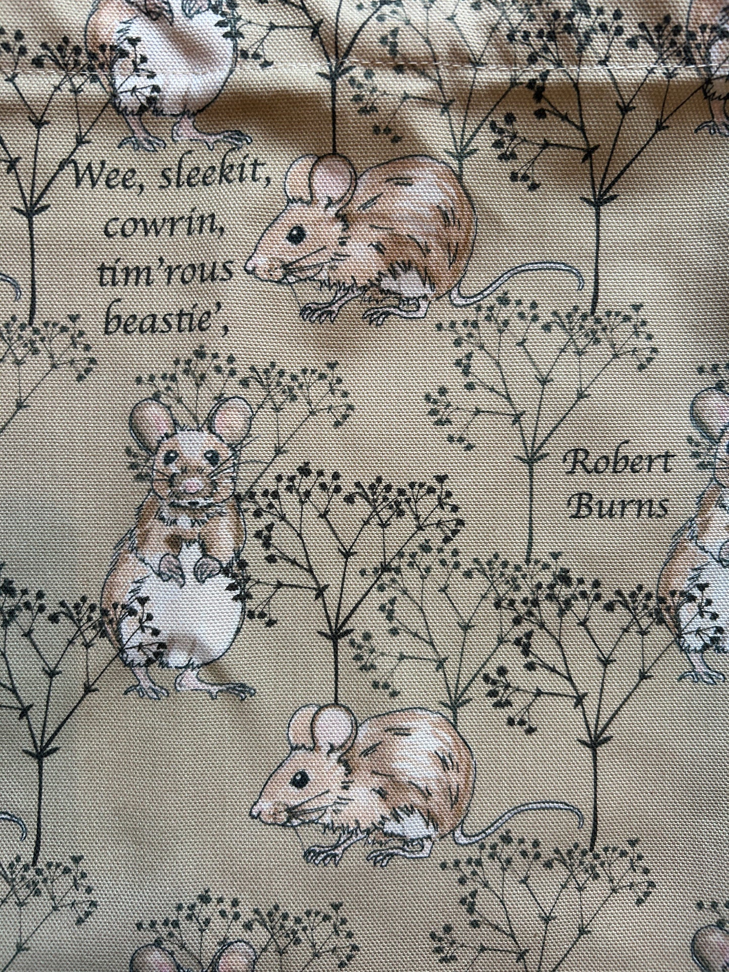 Close up of Burns' quote from 'Ode to a mouse' on background of illustrated mice and twigs