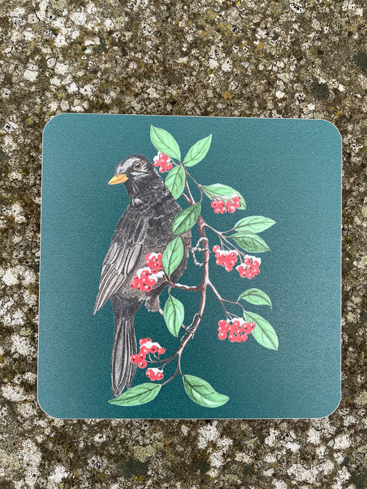 Blackbird Illustrated Coaster, Winter Bird, Festive