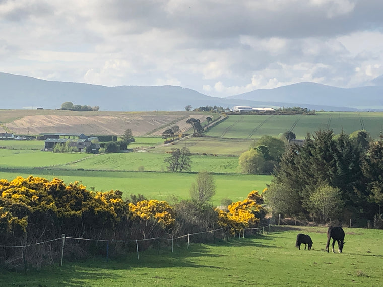 Photograph of scene looking over Resolis,  The Black Isle, Scotland