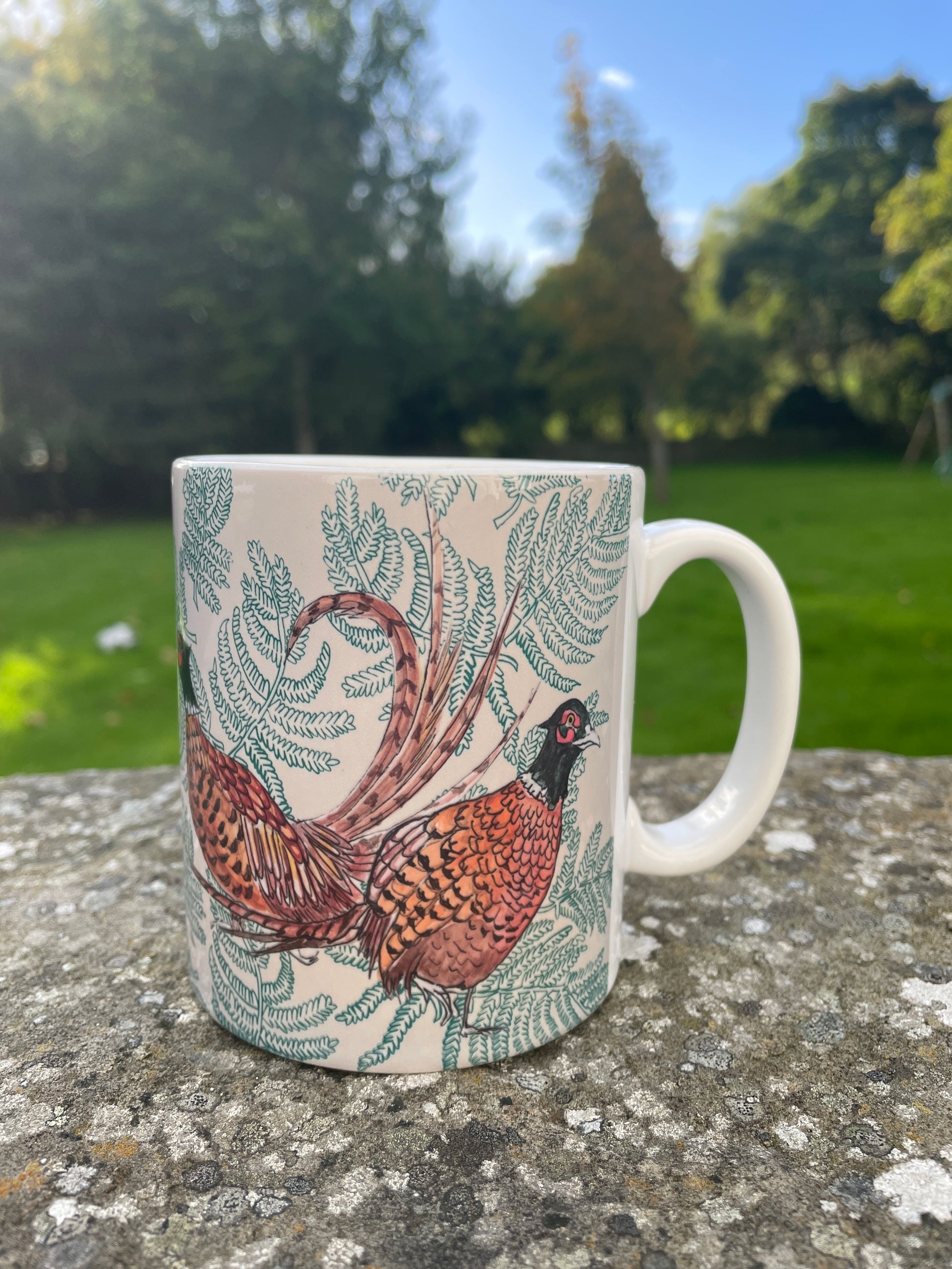 ceramic mug with pheasant and fern design sitting on wall