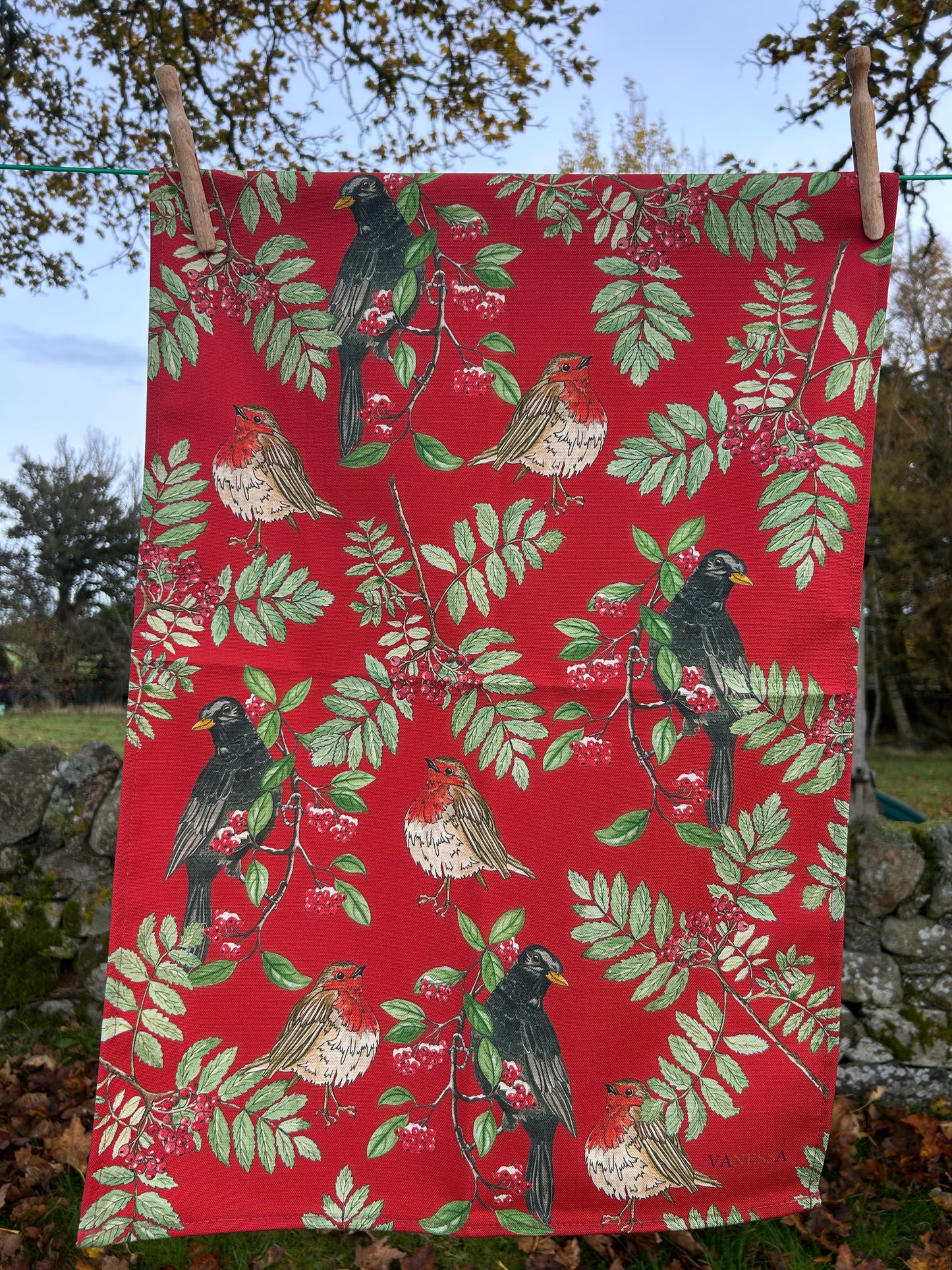 Festive Blackbird, Robin print, Apron