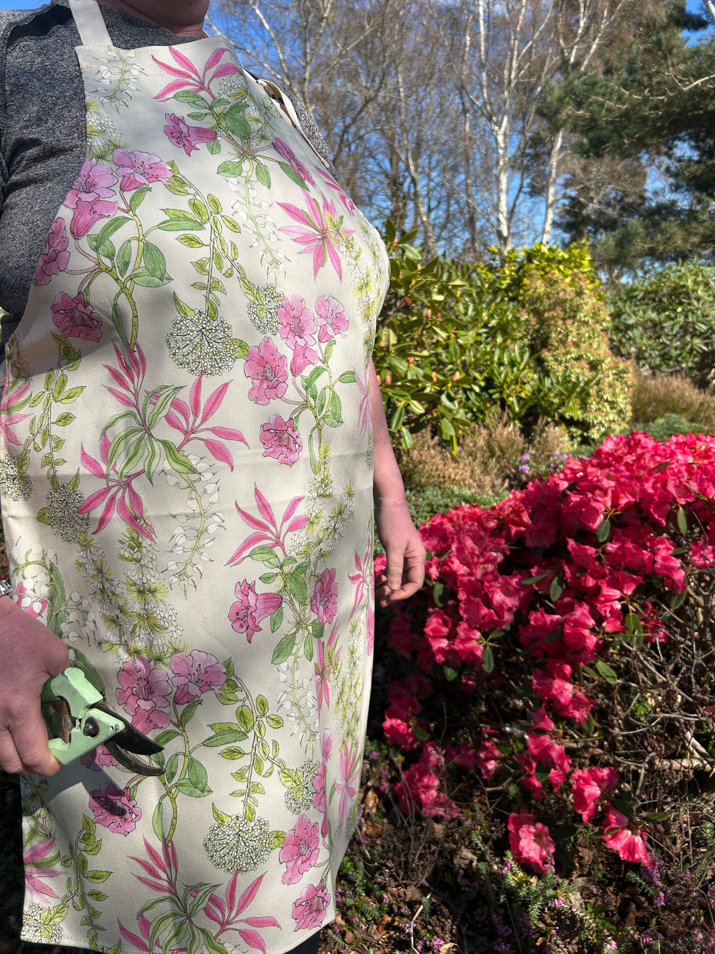 Gardener wearing floral apron next to Rhododendron pink bush