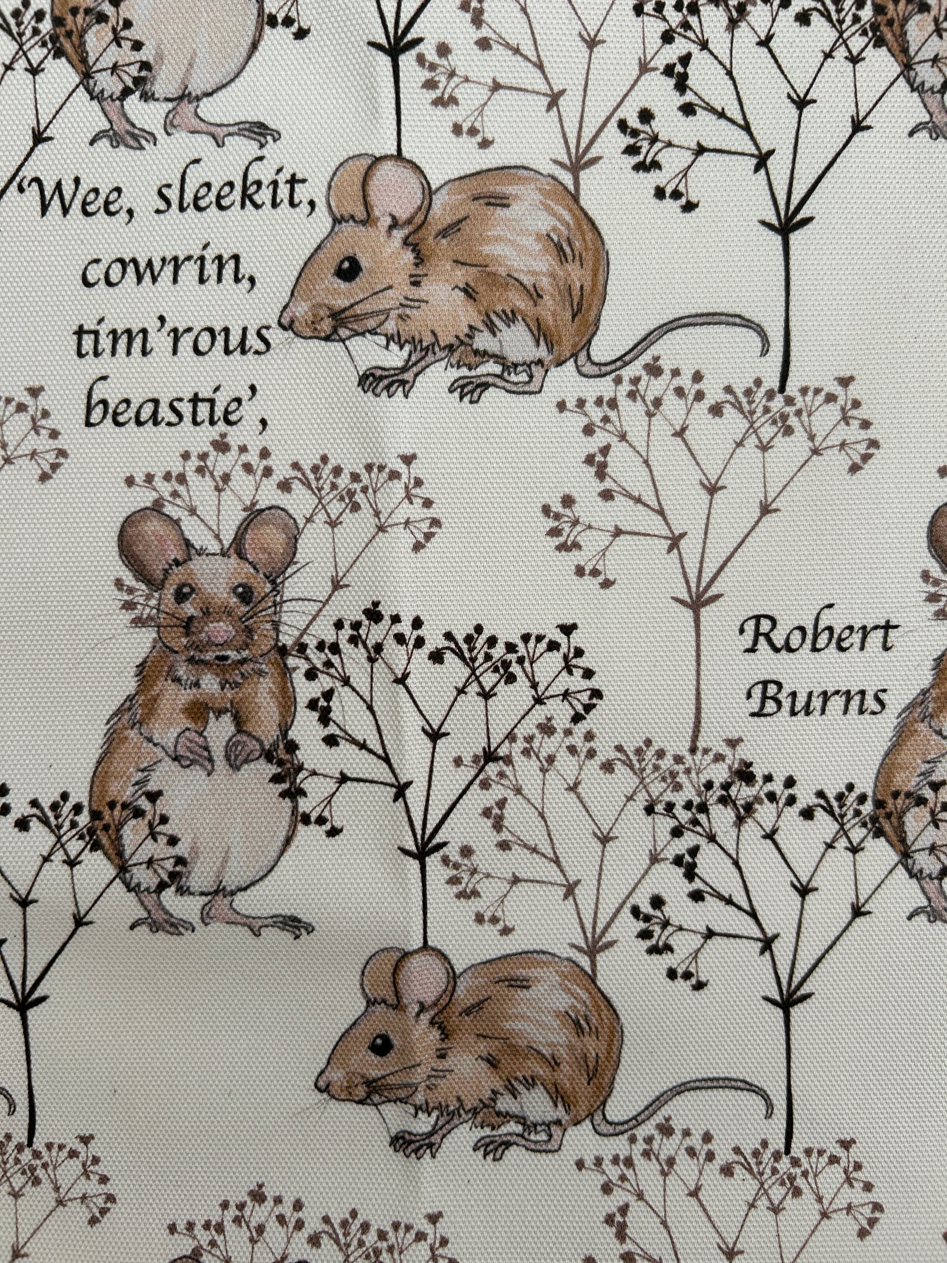 Robert Burns' quote. wee sleekit cowrin tim'rous beastie. featuring illustration of two mice