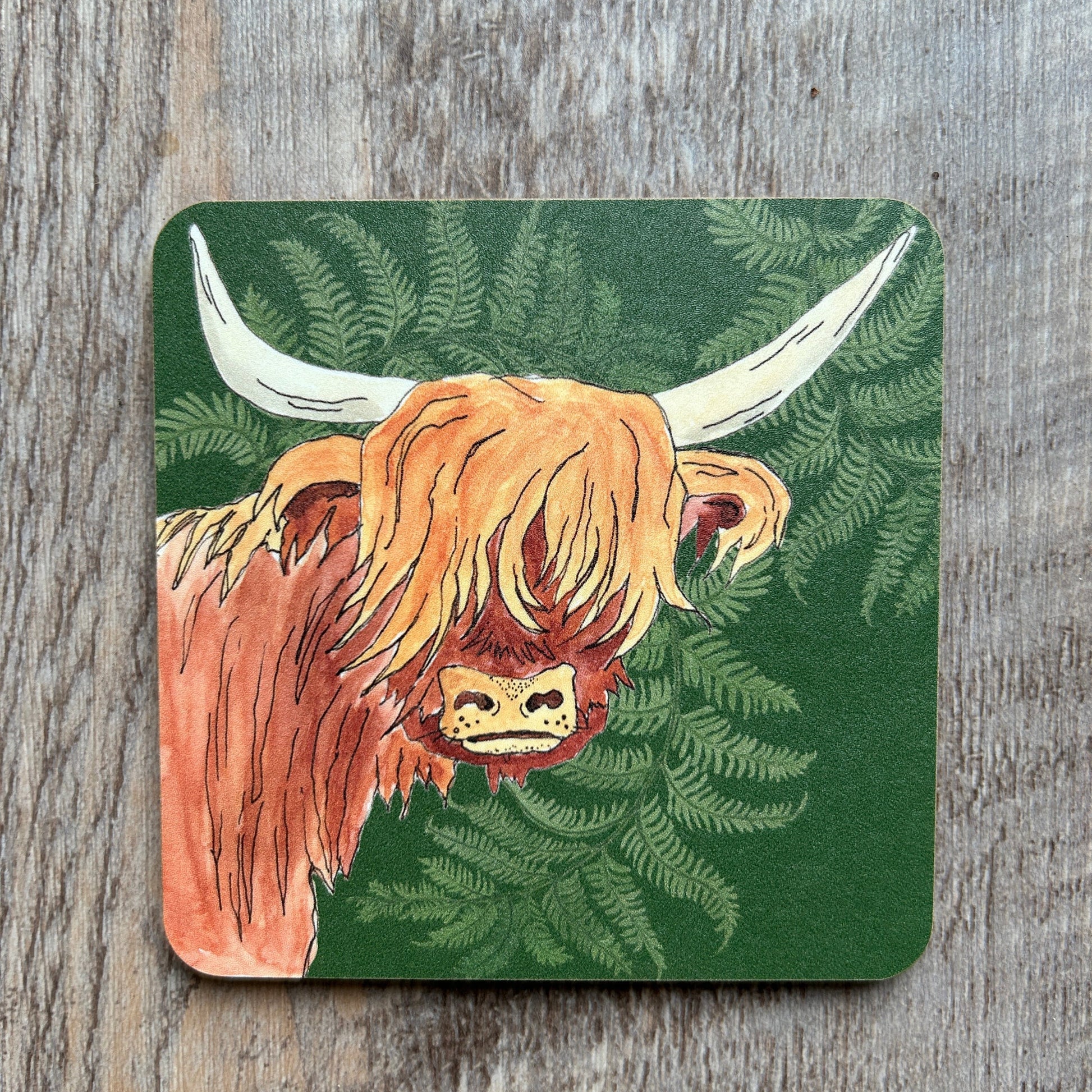 Highland Cow illustration with fern detail on a green based coaster