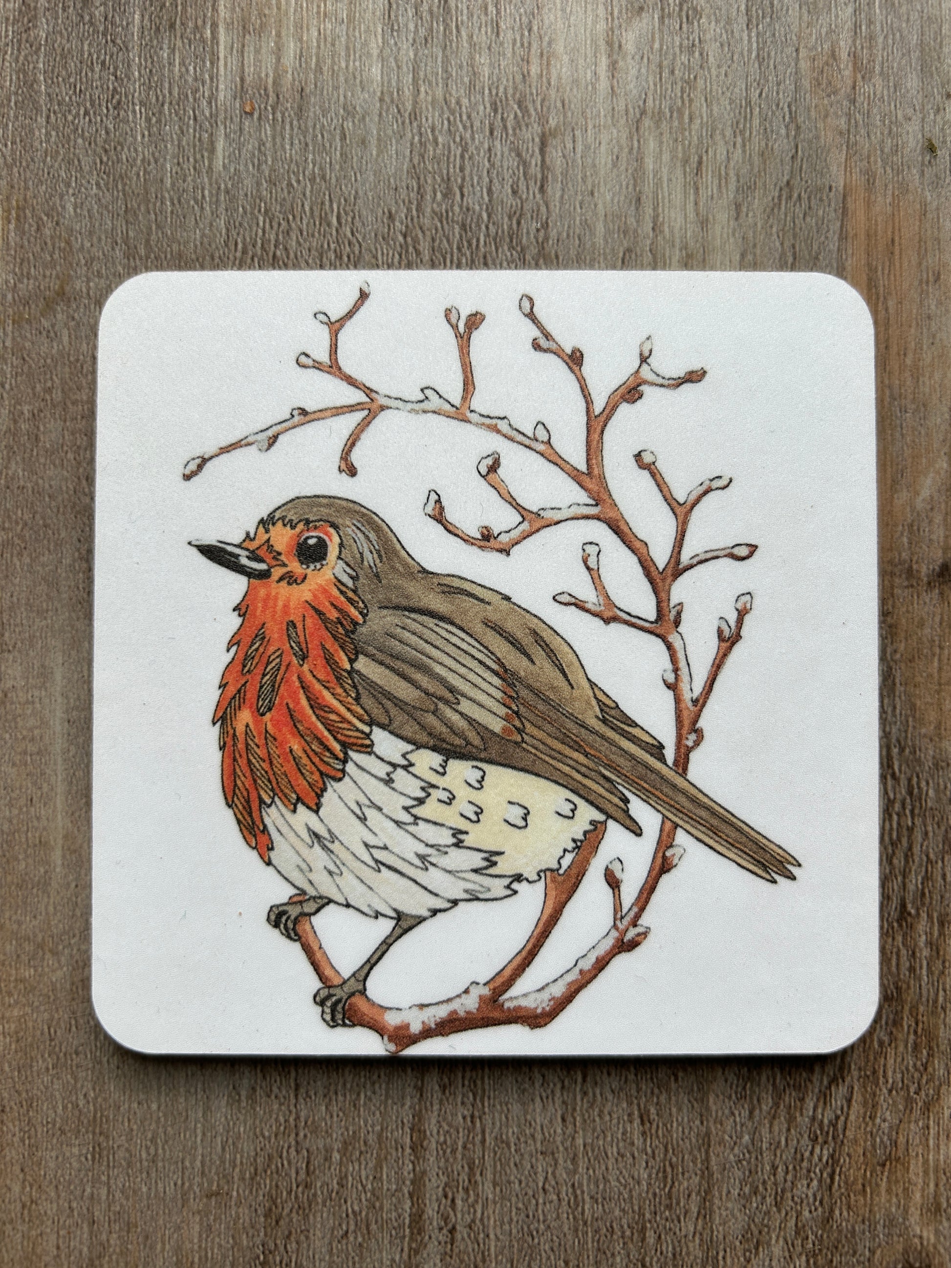 Fluffy red robin illustration on white background, printed on a coaster