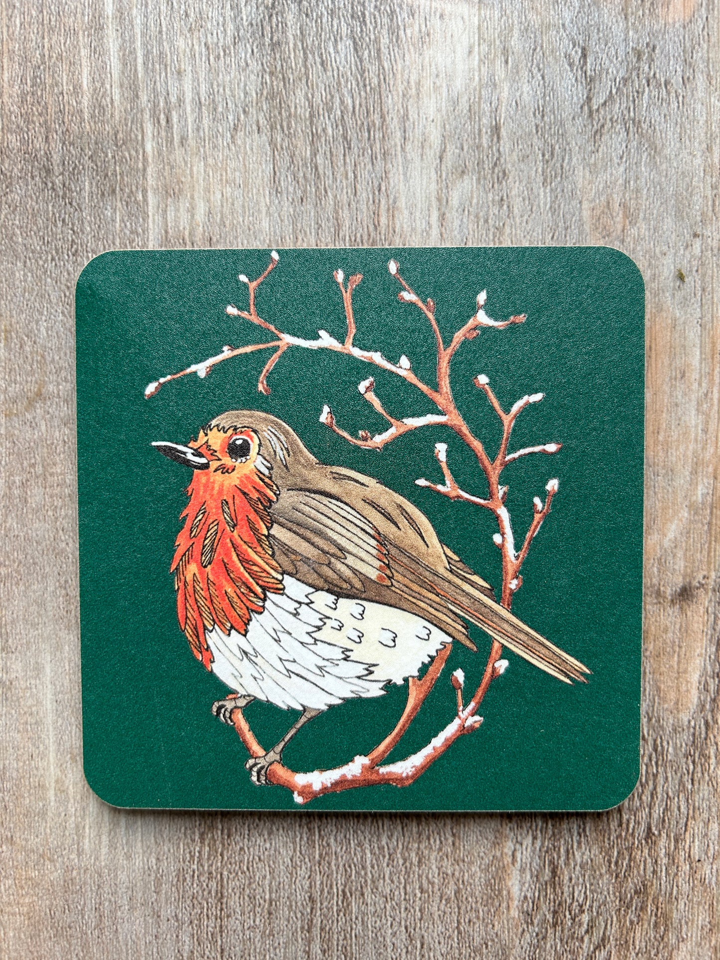 Red robin illustration on a green background coaster