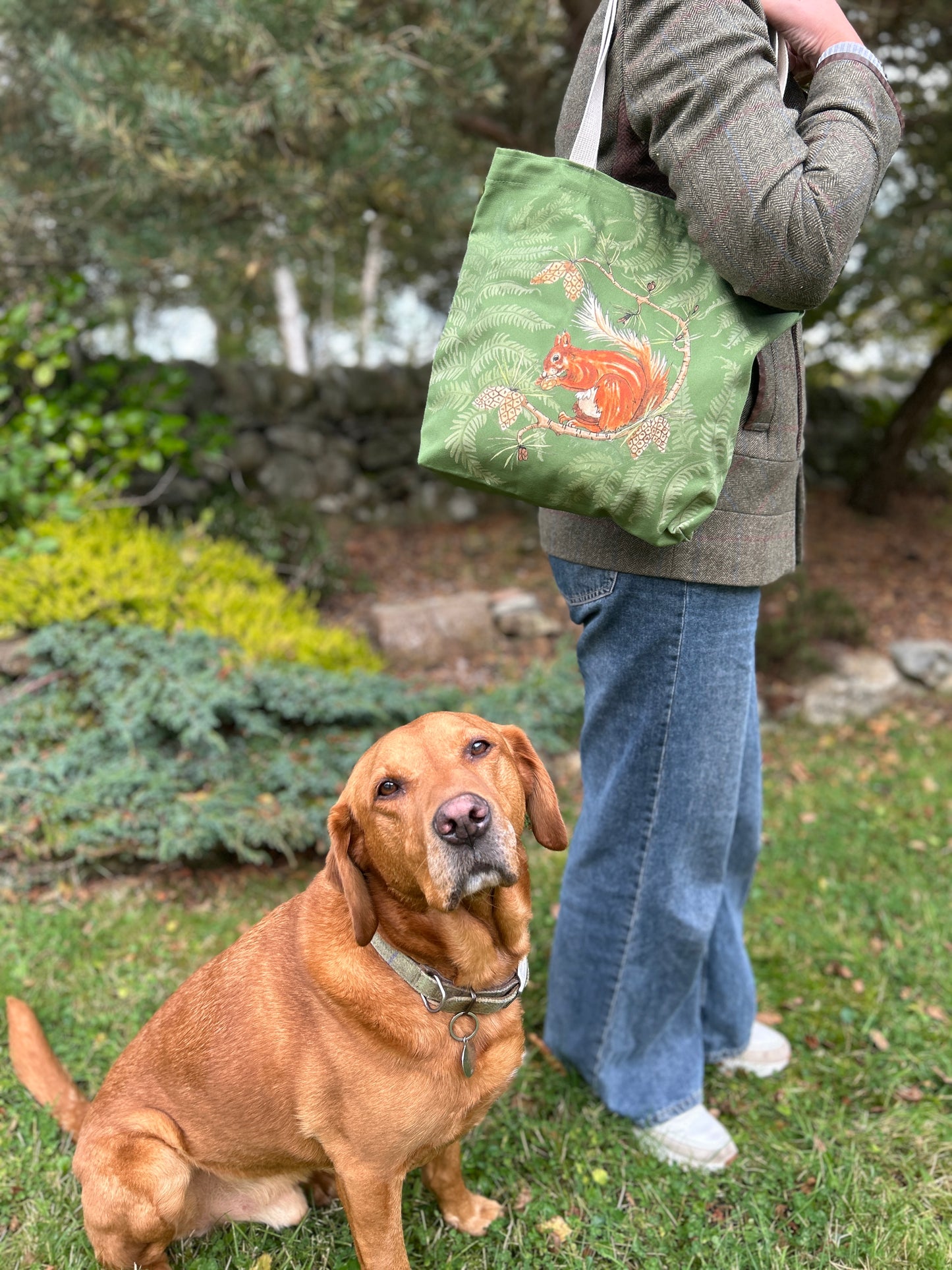 person holding Red Squirrel design tote bag with red Labrador sitting in foreground