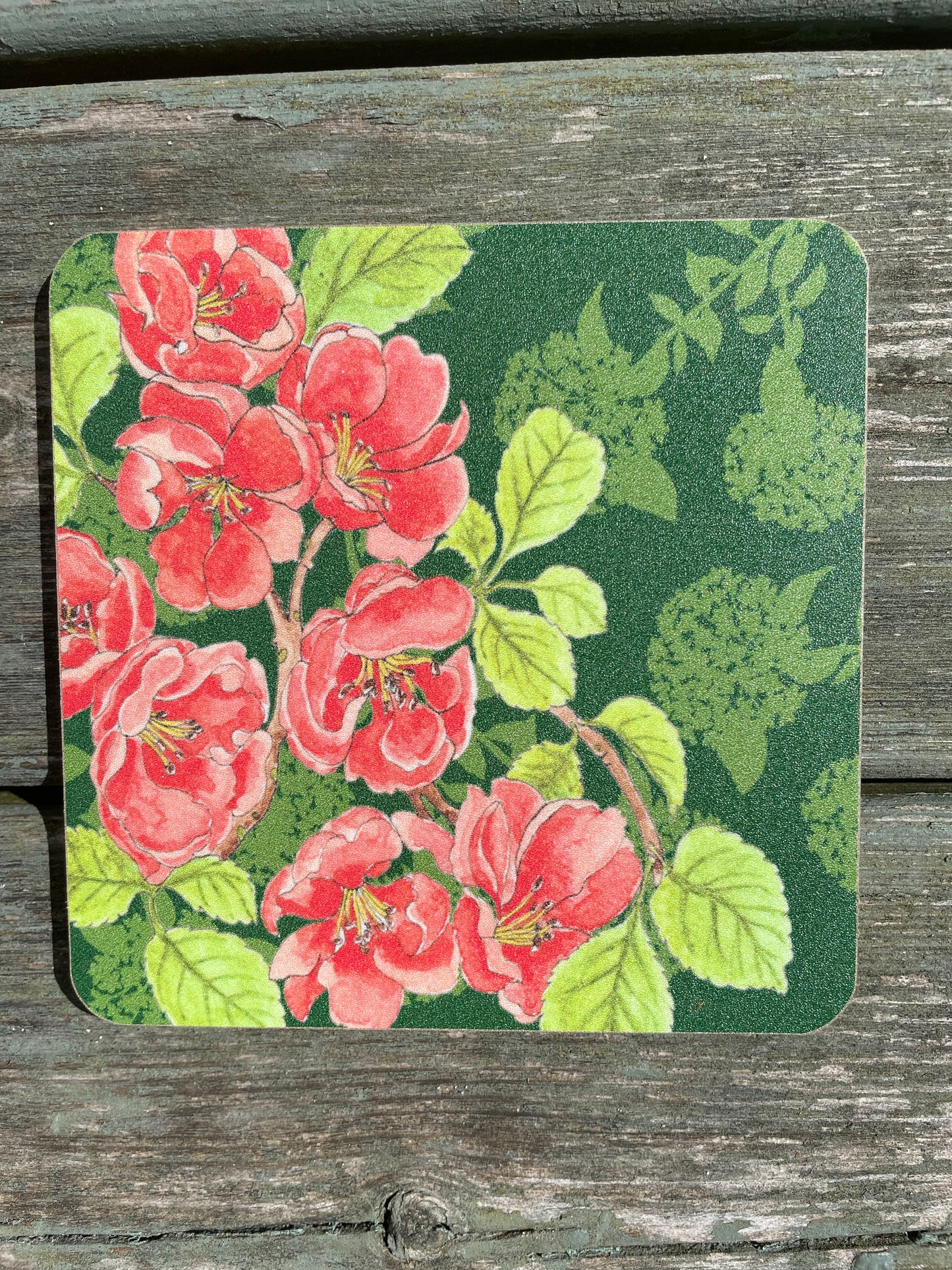 Viburnum Quince Design Coaster