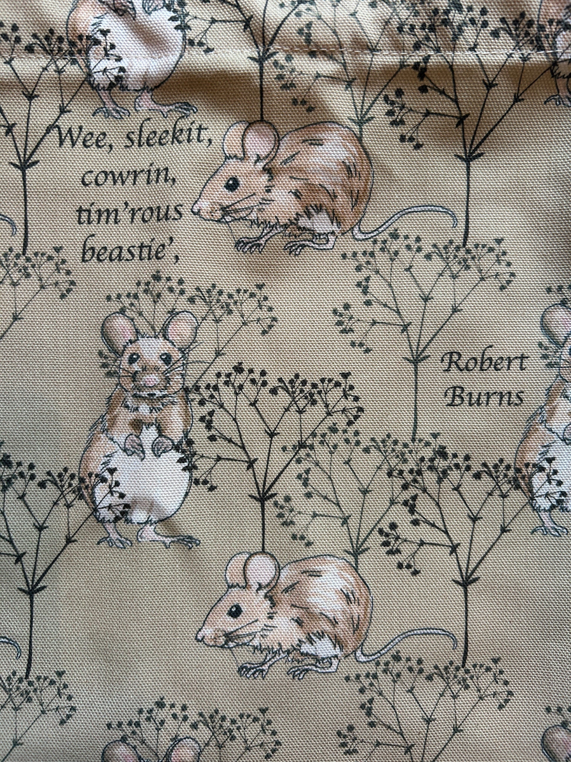 Close up of Burns' quote from 'Ode to a mouse' on background of illustrated mice and twigs