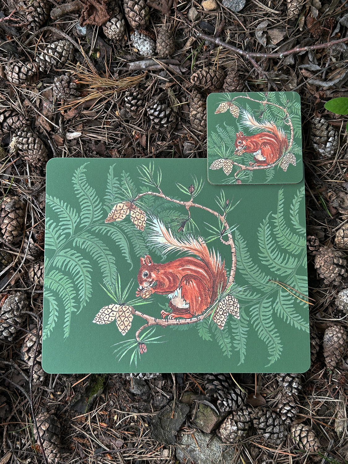 Red Squirrel Design - Coaster