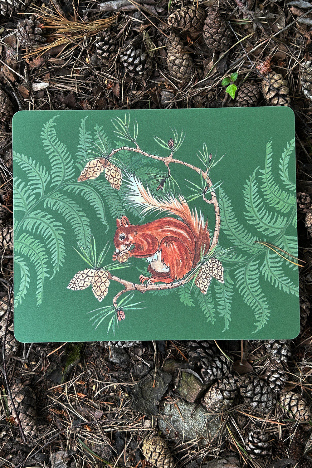 Red Squirrel Design, Placemat - Highland Forest