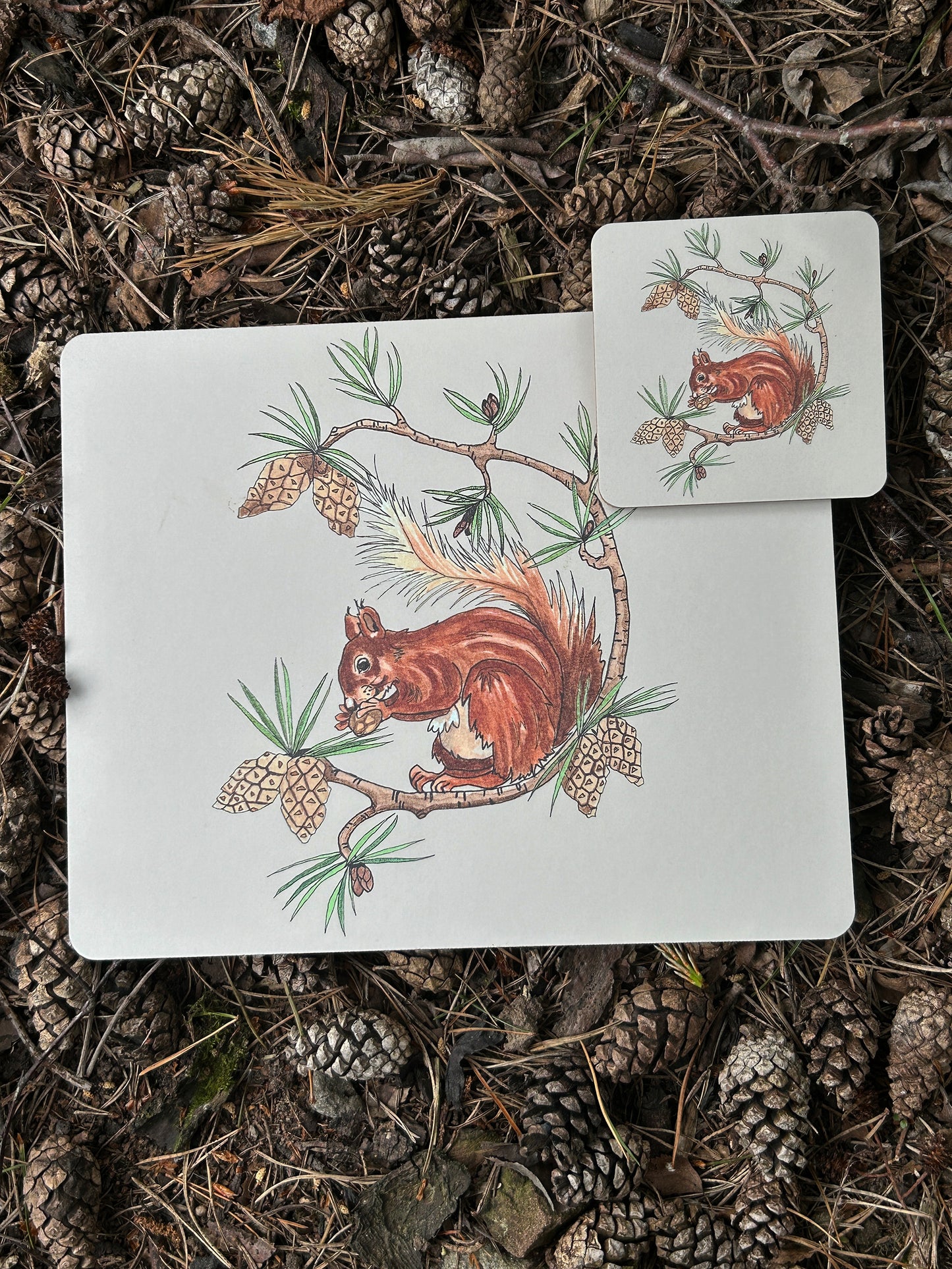 Red Squirrel Design - Coaster